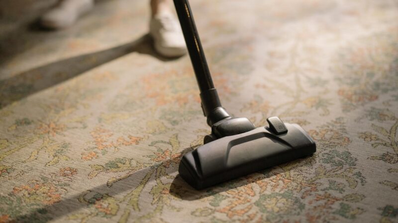 Can Vacuuming Get Rid of Fleas