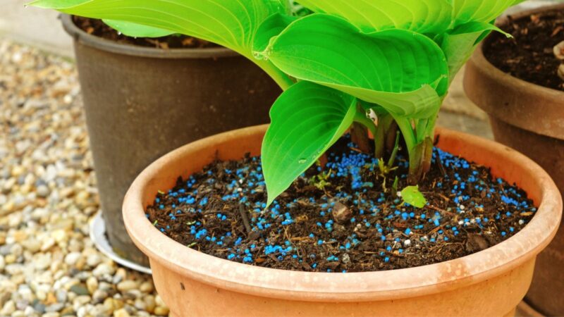 Nature-Friendly Slug Pellets